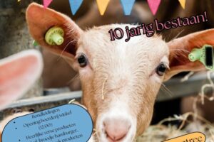 Opendag